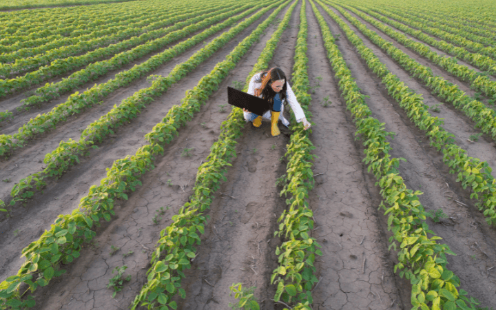 Direito Agrário: o que é, como funciona, o que faz, como advogar, quanto ganha e bolsa de estudos