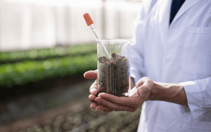 Engenharia Agronômica: o que é, o que faz, mercado de trabalho e onde trabalhar